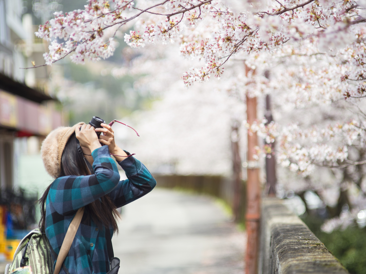 直前に決めたほうが意外とお手頃に!?今からでも間に合う少しでも安く国内旅行を楽しむコツ