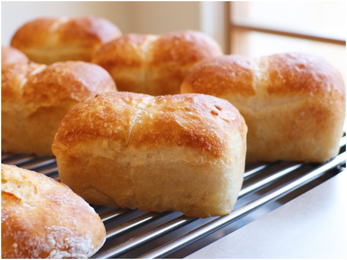 新作の「オヤコノキズナ」