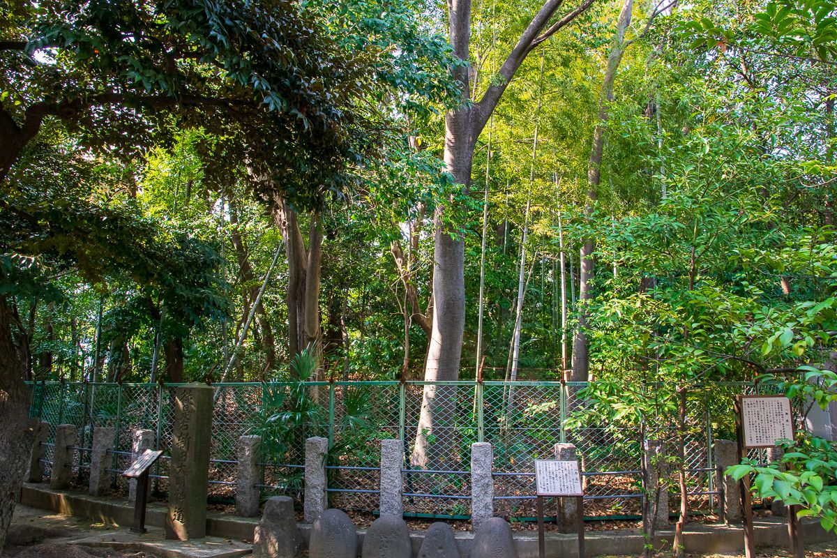 義興公が埋葬されたとされる古墳の竹林