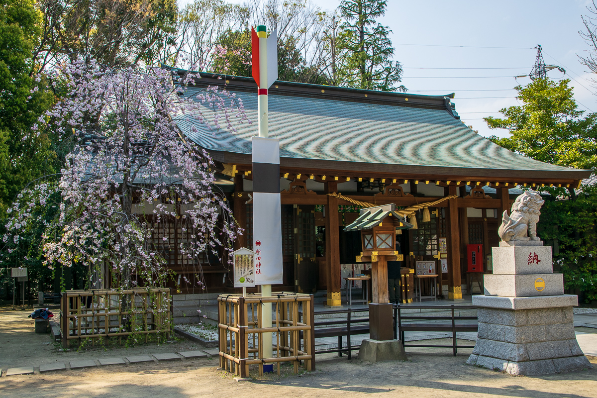 境内のオブジェは全て民主党のロゴマークを制作したグラフィックデザイナー浅葉克巳氏作