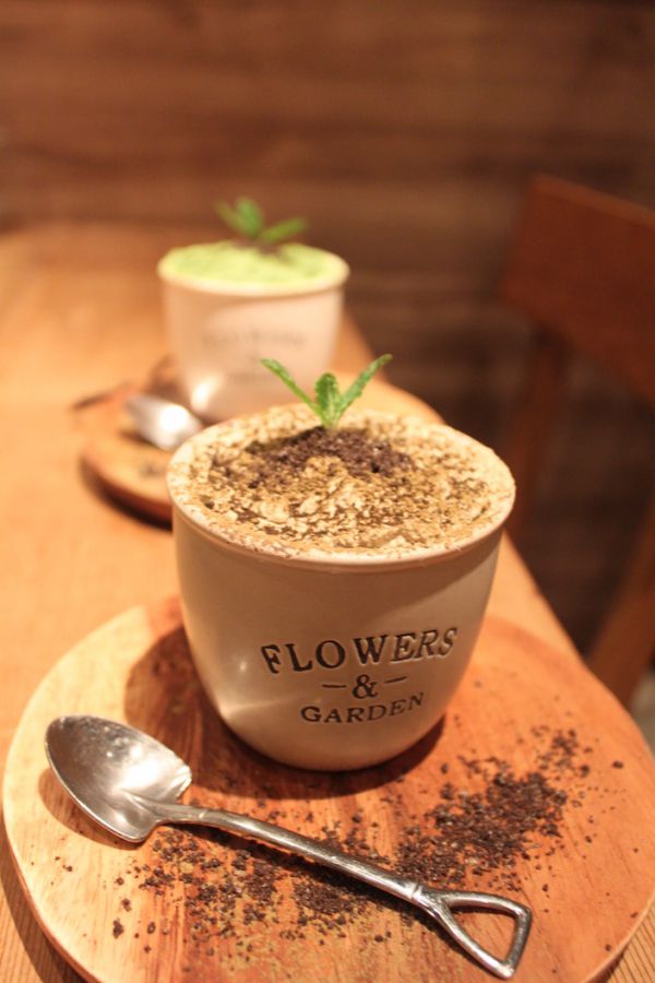 鉢植えほうじ茶ティラミスセット（単品900円、セット 1200円）