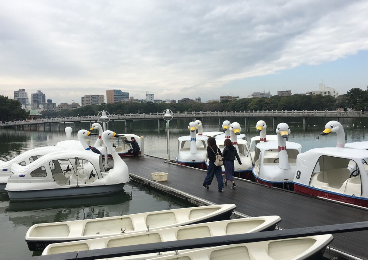 白鳥ボート乗船料は30分1100円〜（サイズにより金額が異なる）