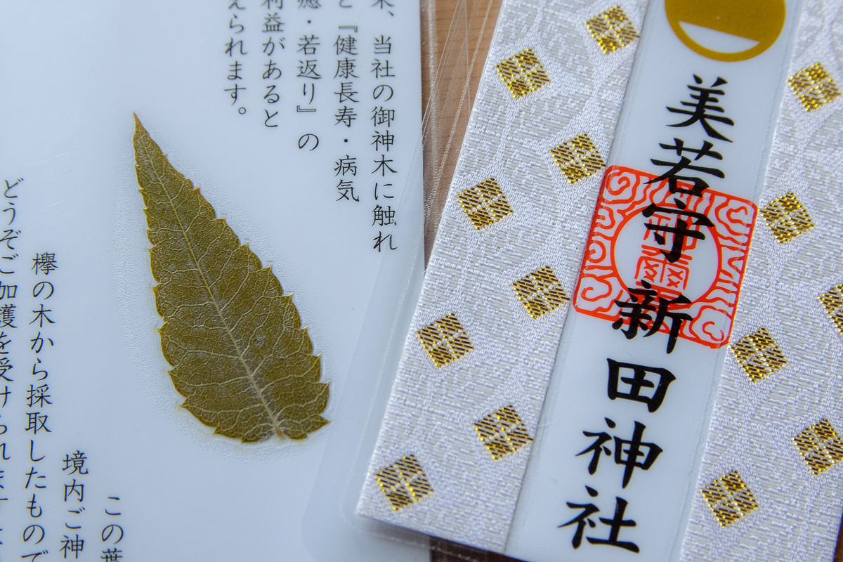 ご神木の葉を封入した「美若守」には女性にはうれしい美のご利益