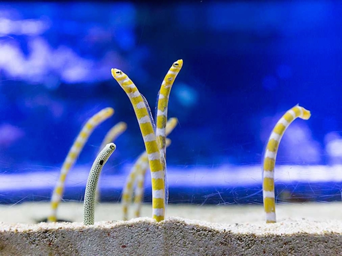 景色も満喫！東京スカイツリータウン(R)とエンタメスポットめぐり