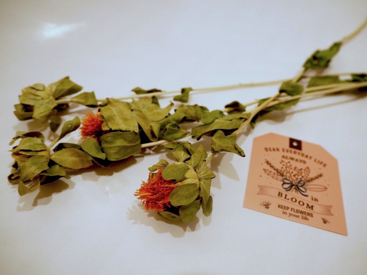 3COINS「ドライフラワー」 / 324円（税込）