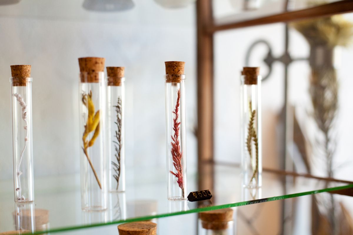 試験管ドライフラワー 500円