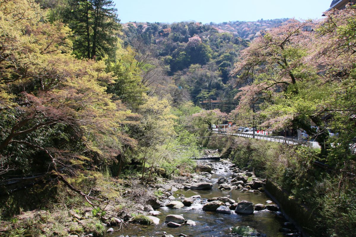 いつ訪れても山川の緑あふれる箱根の景色