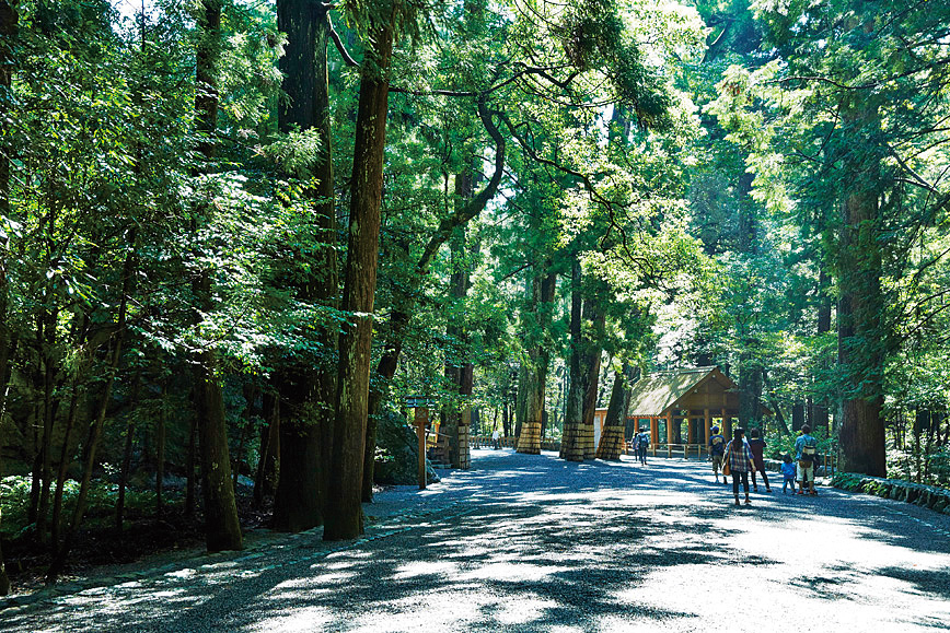新緑が清々しい森の中の参道を歩いて正宮へ