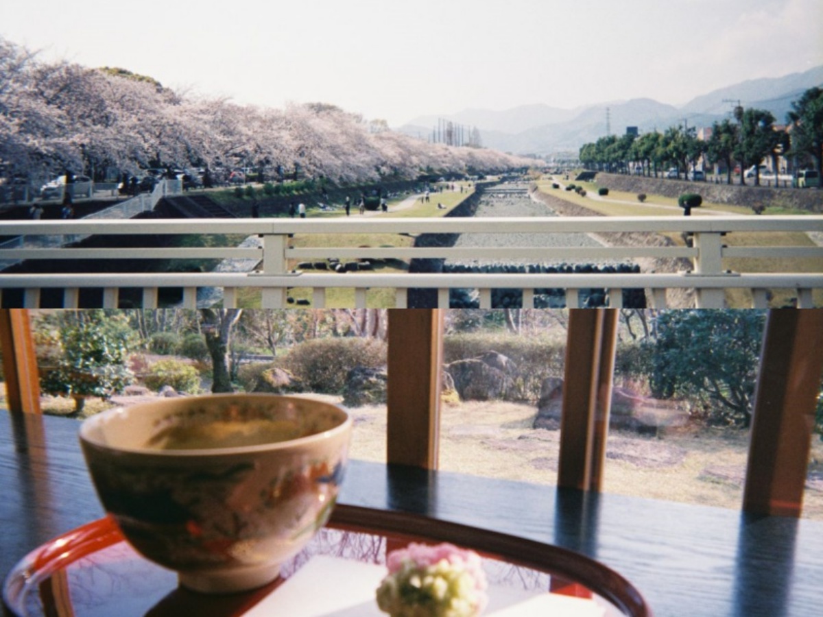 テク要らずで映える！再ブームのインスタントカメラはやっぱり優秀だった