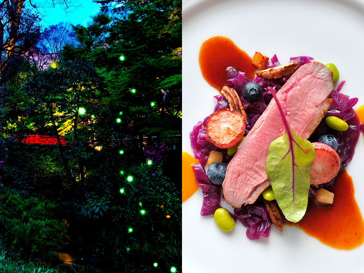 見てトキメキ、食べてキレイに！？美容にこだわった絶品“ホタル”ディナー