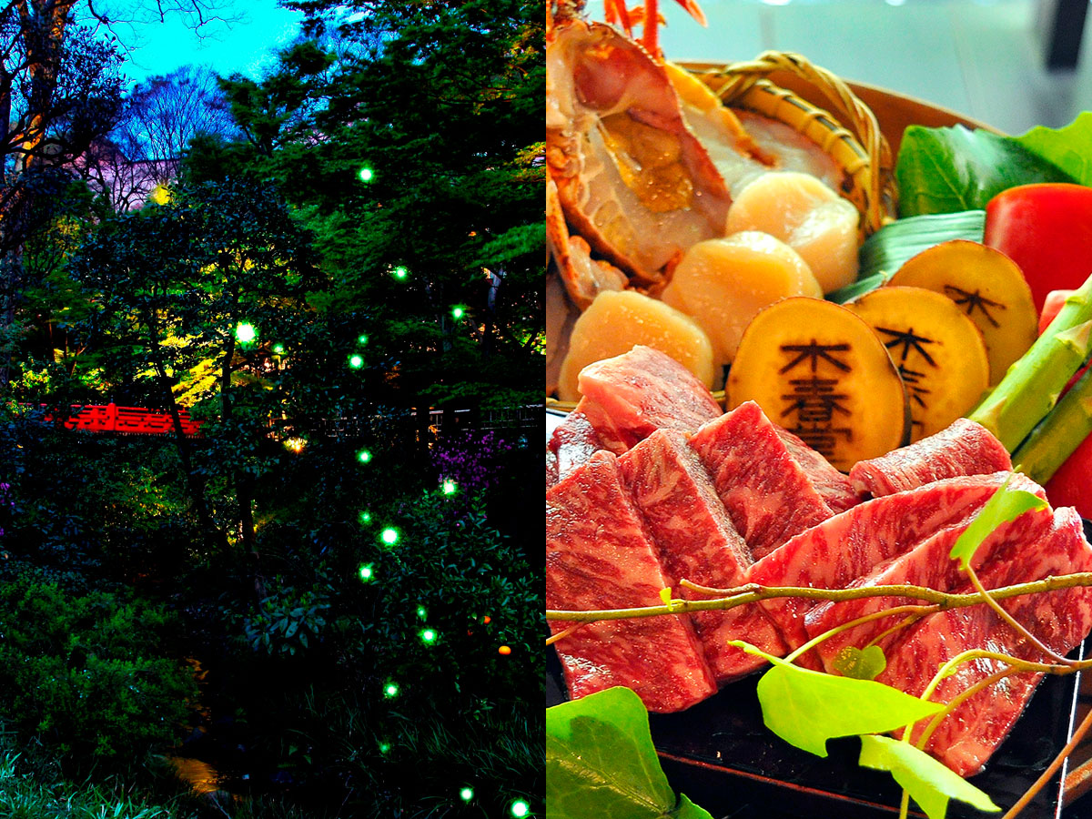 都心でホタル舞う絶景を。贅沢石焼料理とホタル観賞ディナープラン