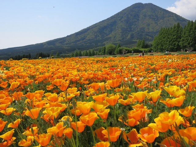 Keikoさんが教える5～7月の開運旅！新月＆満月を狙うおでかけスポットとは？