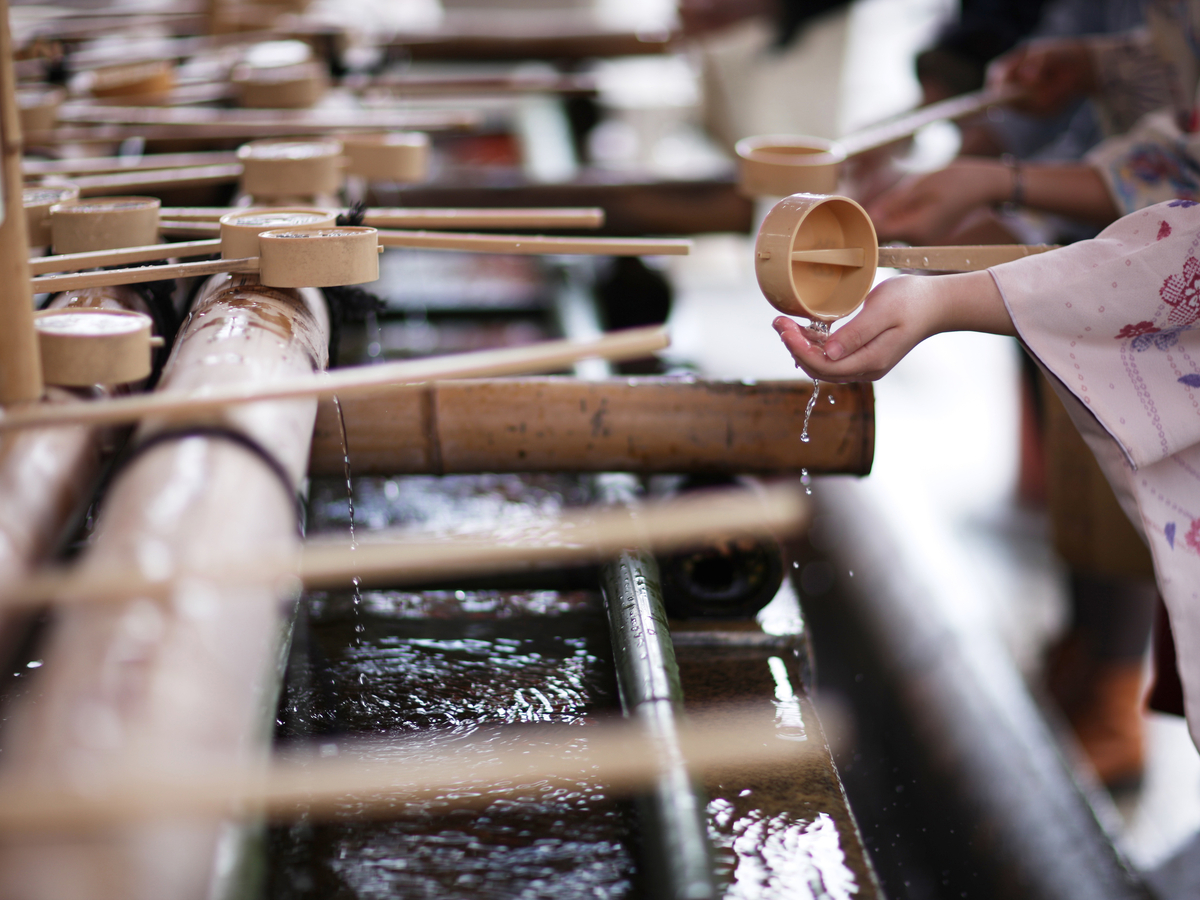 Anna Jurkovska/Shutterstock