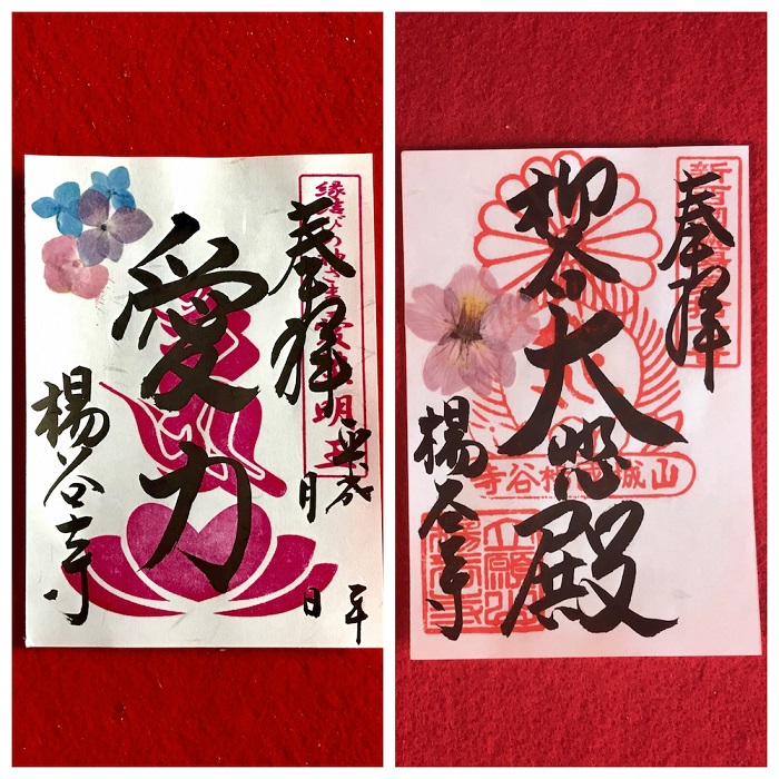 左 あじさいの押し花朱印（1000枚限定 志納料600円）右 陽光桜の押し花朱印（4月に授与）