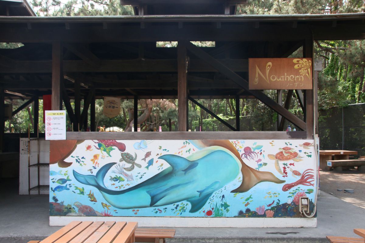 炊事場の壁には海気分いっぱいのイラストが！