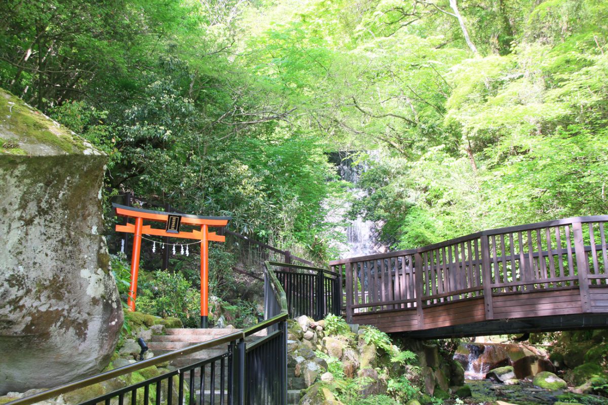 気持ちのよい渓流沿いの散策コース。無料のコーヒーが用意されているので、コーヒー片手に朝の散歩などいかが？