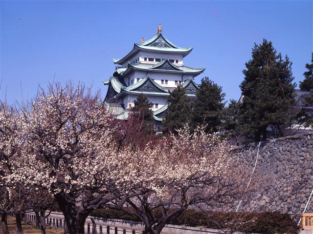 名古屋城総合事務所