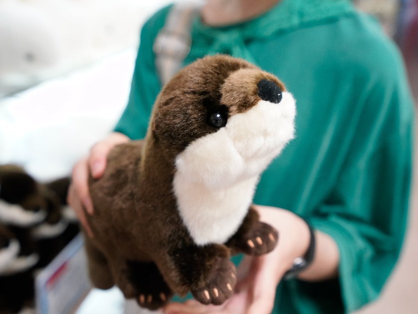 本物そっくりコツメカワウソ　1500円（税込）