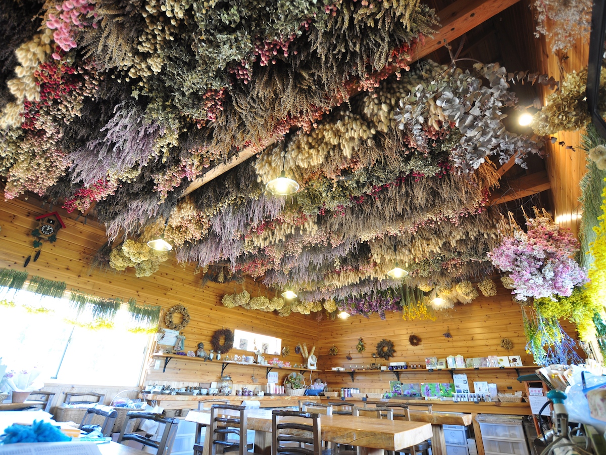 フラワーシャワーのような飾りが素敵！一年中、花が咲き誇る極上の花畑へ