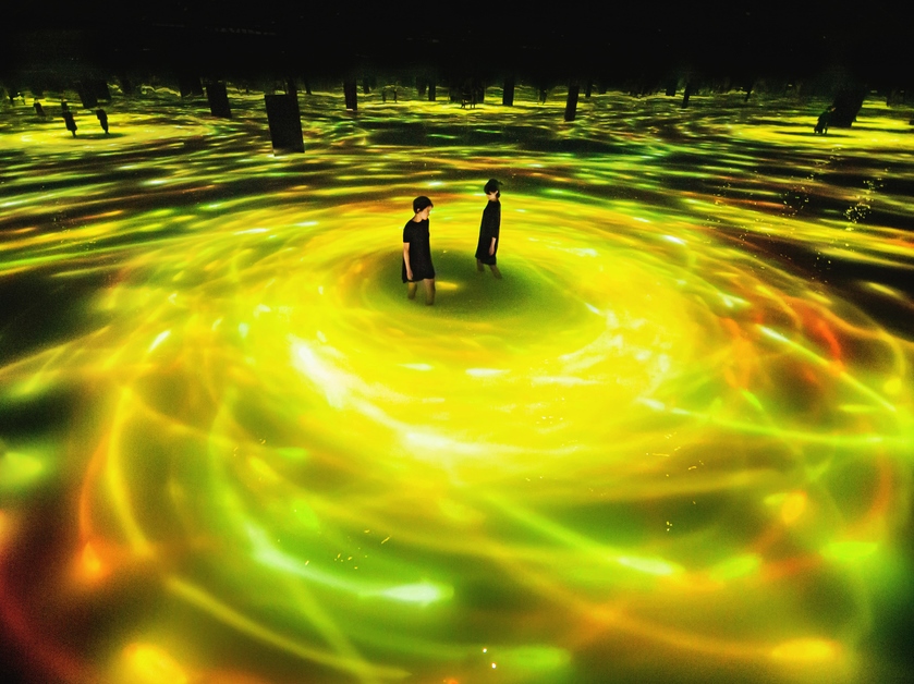 見逃せない！東京・豊洲の「チームラボプラネッツ」にヒマワリの作品が期間限定で登場