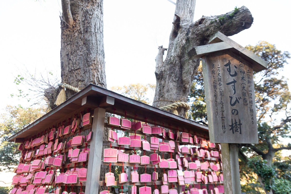 「むすび絵馬」初穂料500円