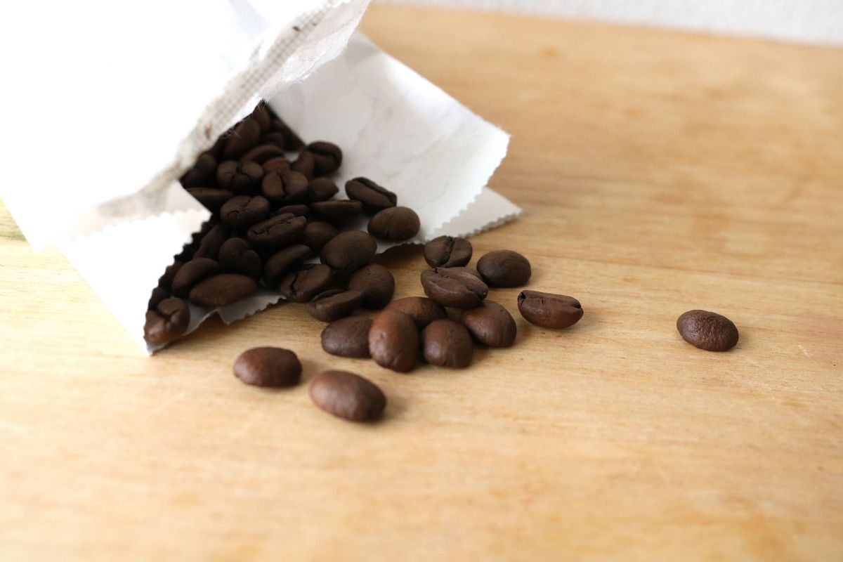 IWASHI COFFE 豆 100g 525円〜販売