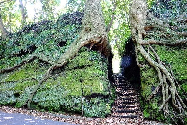 東京のもう一つの姿がここに！伊豆大島でSNS映え必至のスポット