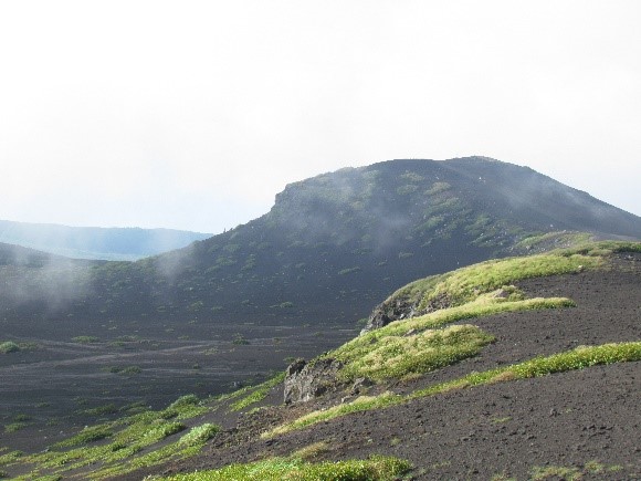写真：大島観光協会