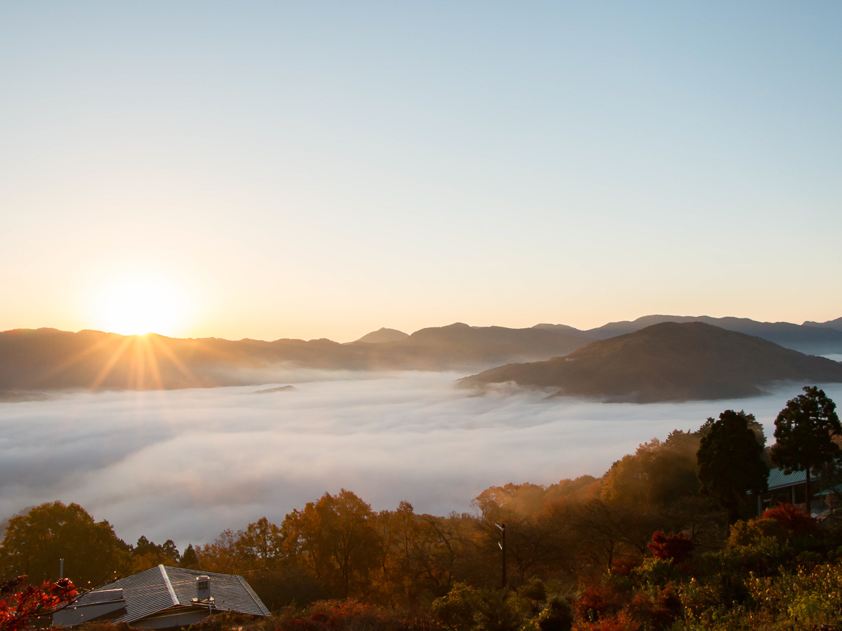 特に春や秋に発生する確率が高い／寶登山神社