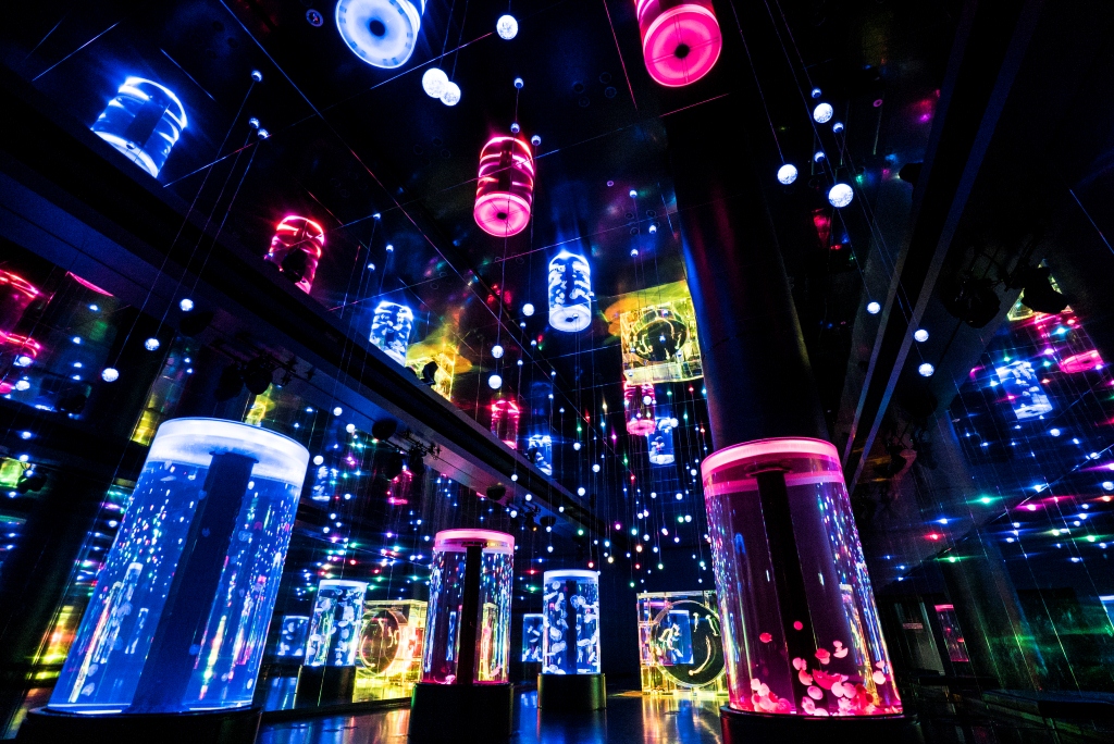 「Jellyfish Ramble」の期間限定演出イメージ