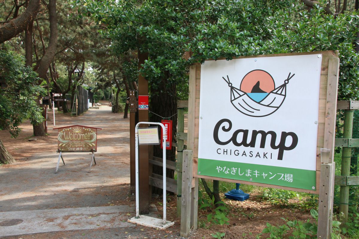 湘南、茅ヶ崎の柳島海岸にある「柳島キャンプ場」。ビーチにありながら、木々に囲まれた静かなキャンプ場です。