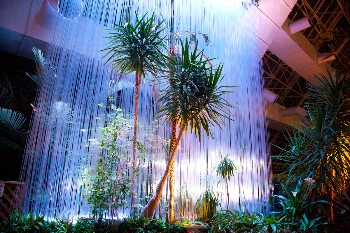 クラウドフォレスト（シンガポール）／パームツリーウェイ【撮影・土佐麻理子】