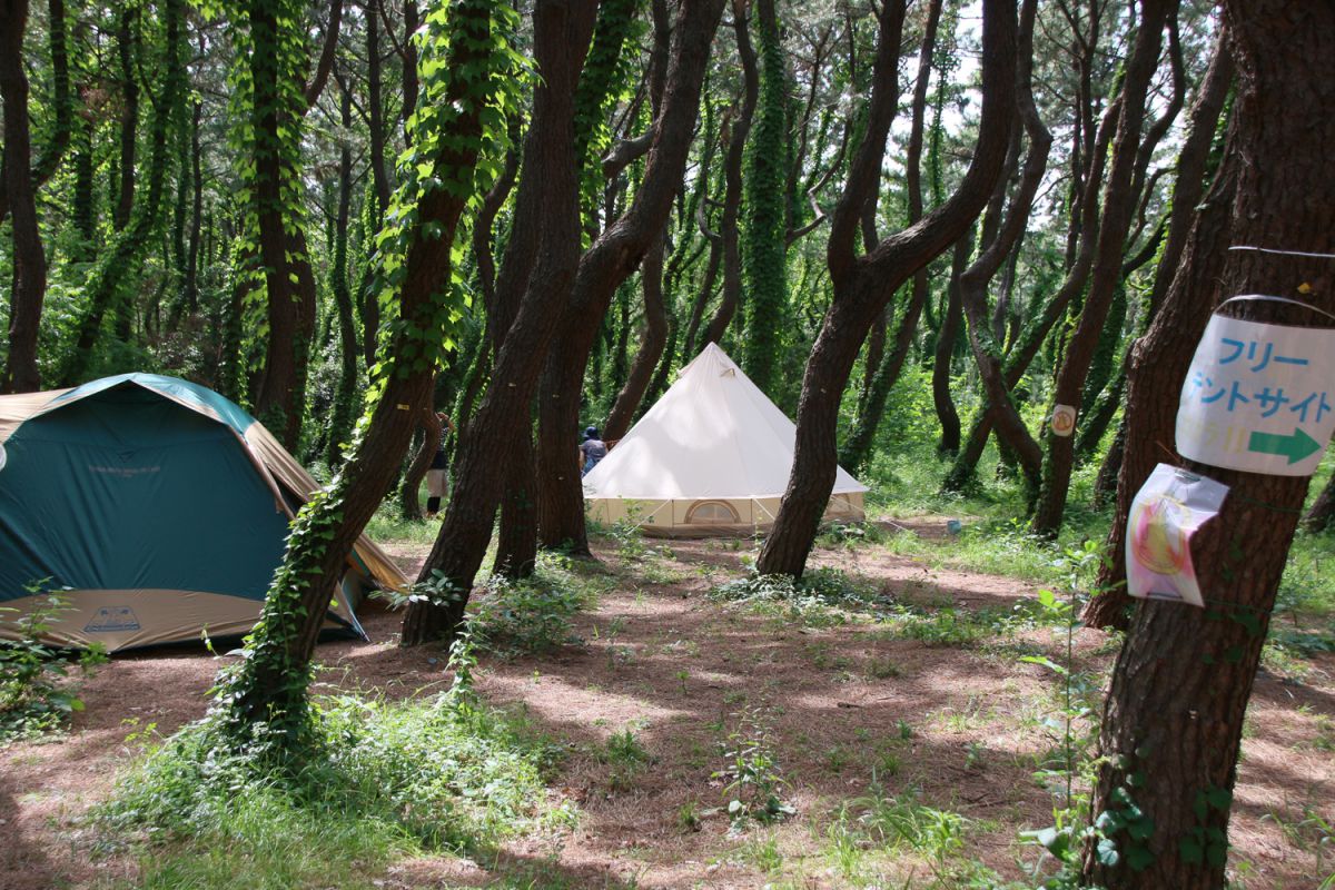 緑がいっぱい！自然のなかが気持ちいいテントサイト