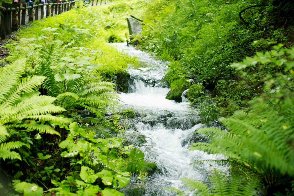 【全国】涼しくて楽しい！夏のおすすめお出かけスポット8選！【前編】