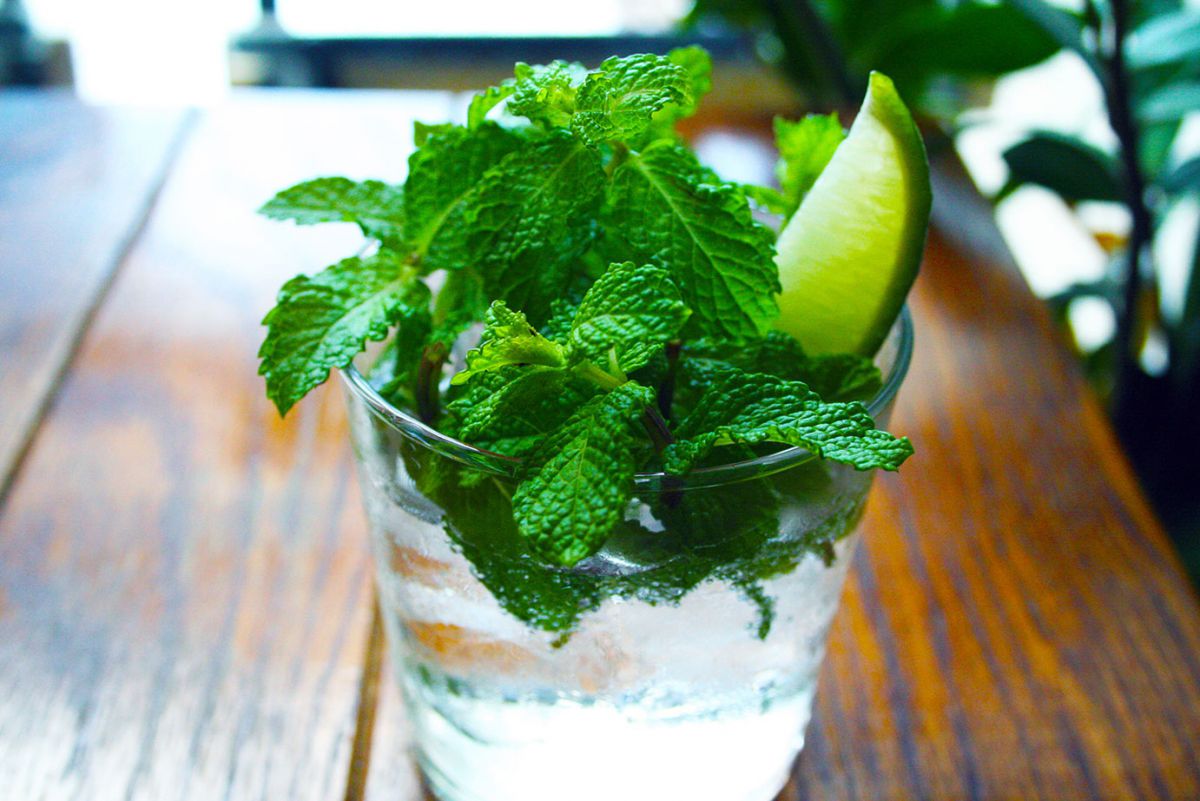 「屋上で育てたミントのプレミアムモヒート」税抜900円／カフェ＆バー シマダカフェ神楽坂