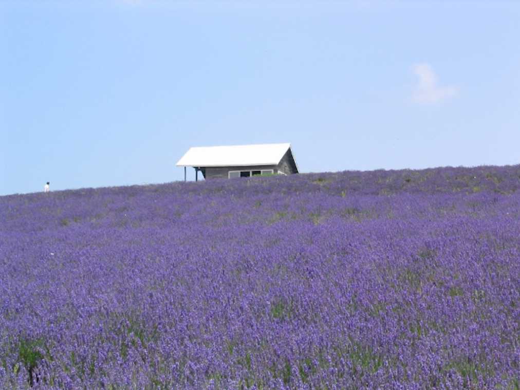 Keikoさんが教える8～10月の開運旅！新月＆満月を狙うおでかけスポットとは？