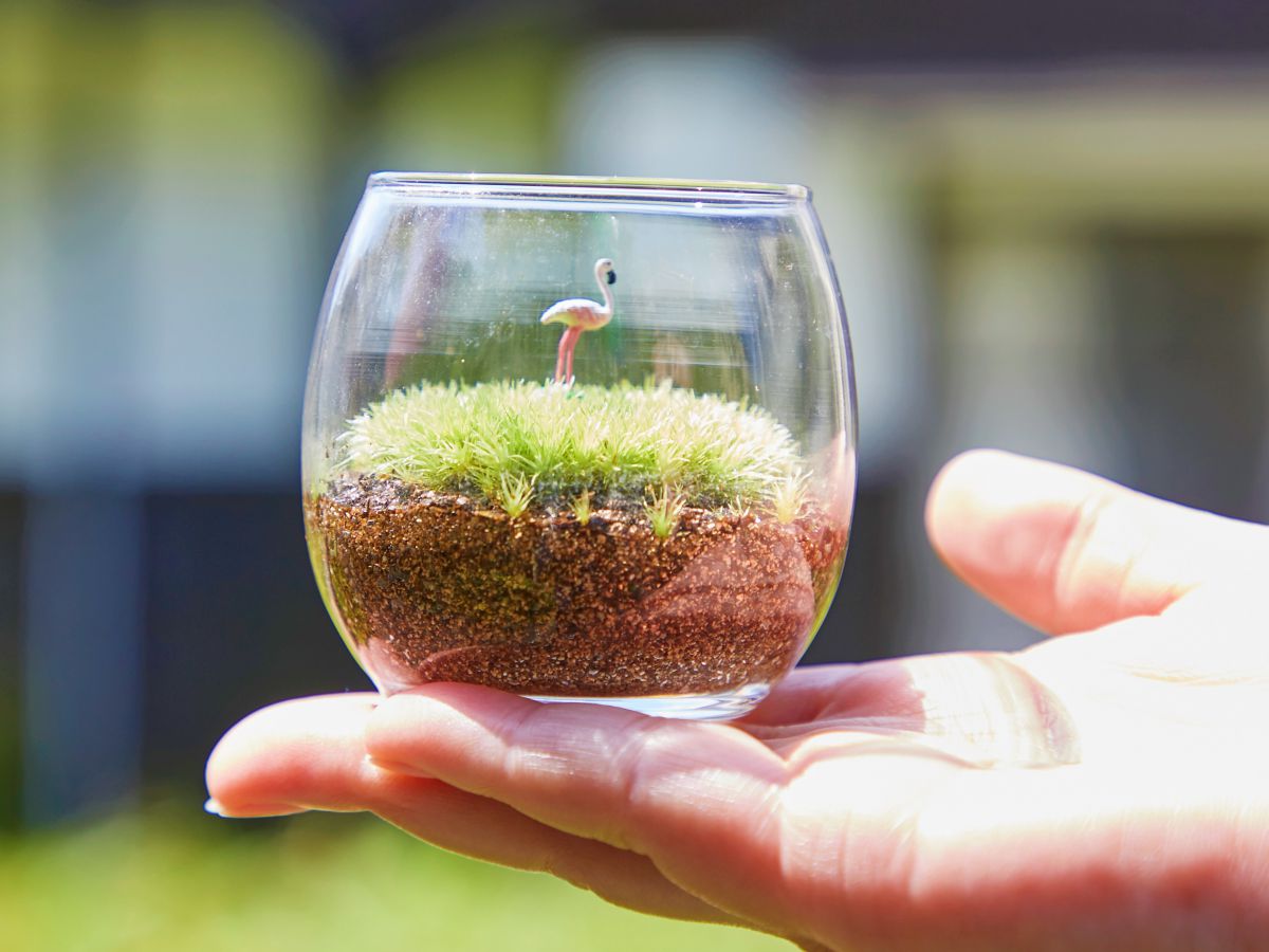 おちょコケ 1600円～