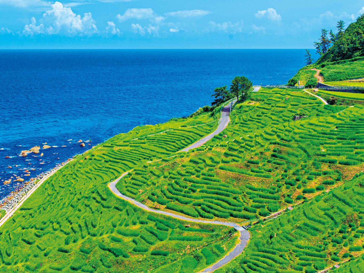 きらきらライステラスにうっとり。1004枚の棚田が連なる石川の「白米千枚田」で深呼吸！