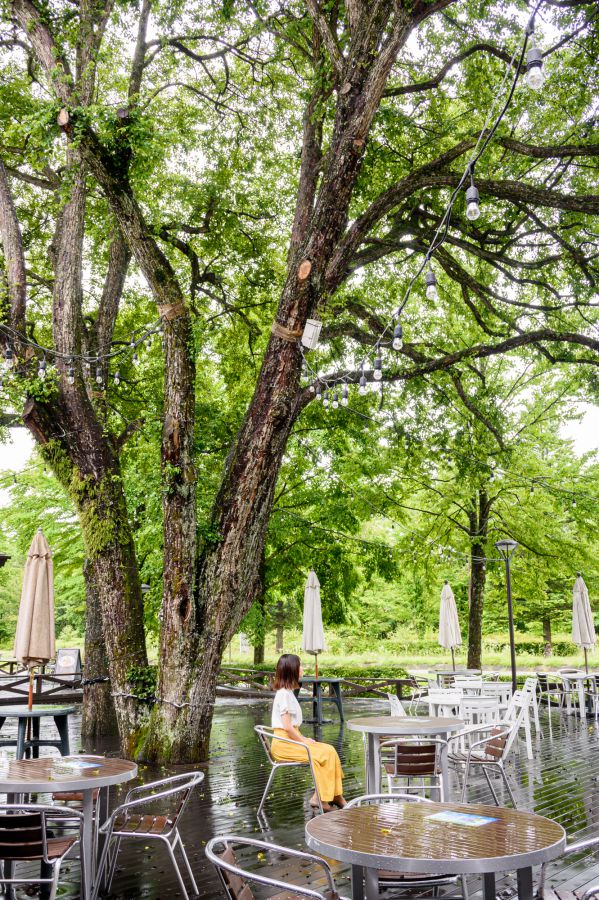 絞り値：f/4.5 シャッタースピード：1/100秒 ISO感度設定：ISO200