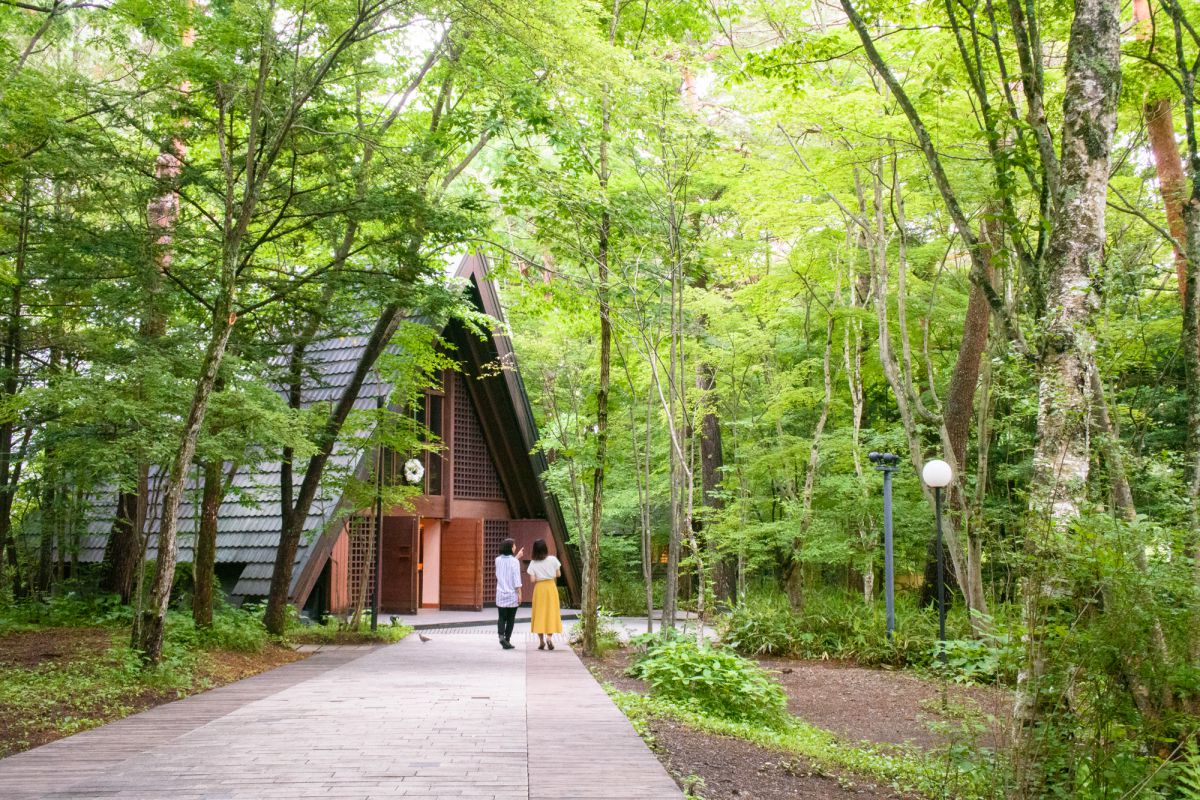 絞り値：f/6.3 シャッタースピード：1/60秒 ISO感度設定：ISO2500