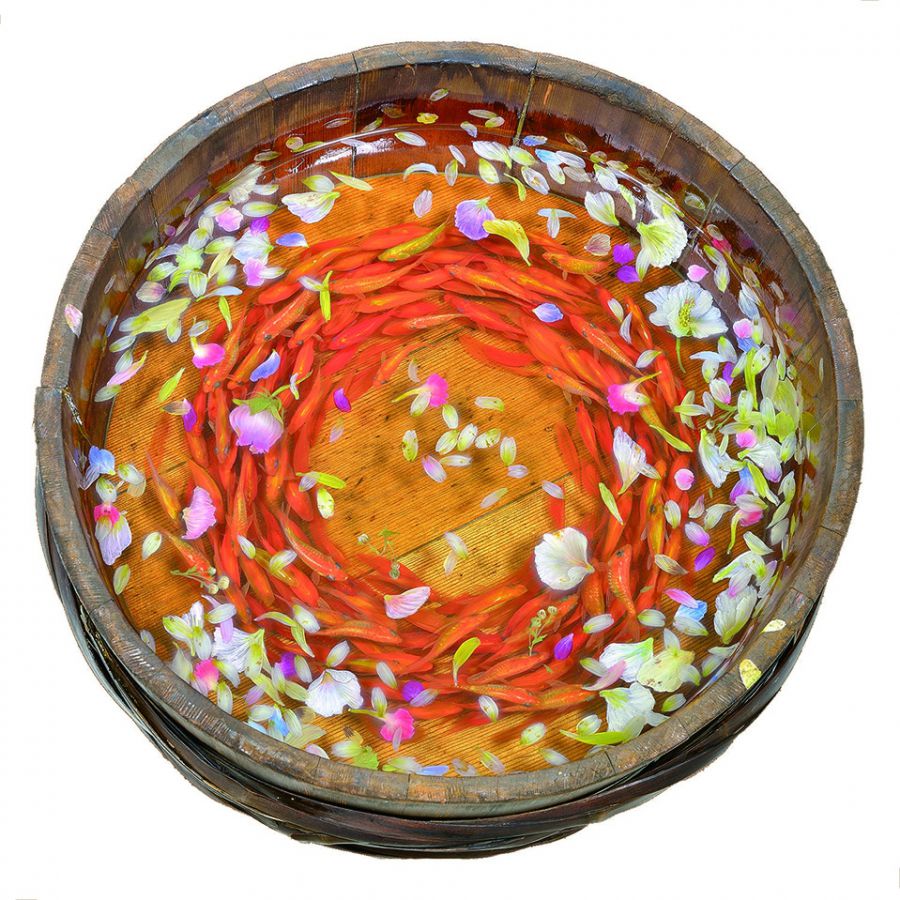 金魚作家たちによる円柱水槽の底板イメージ