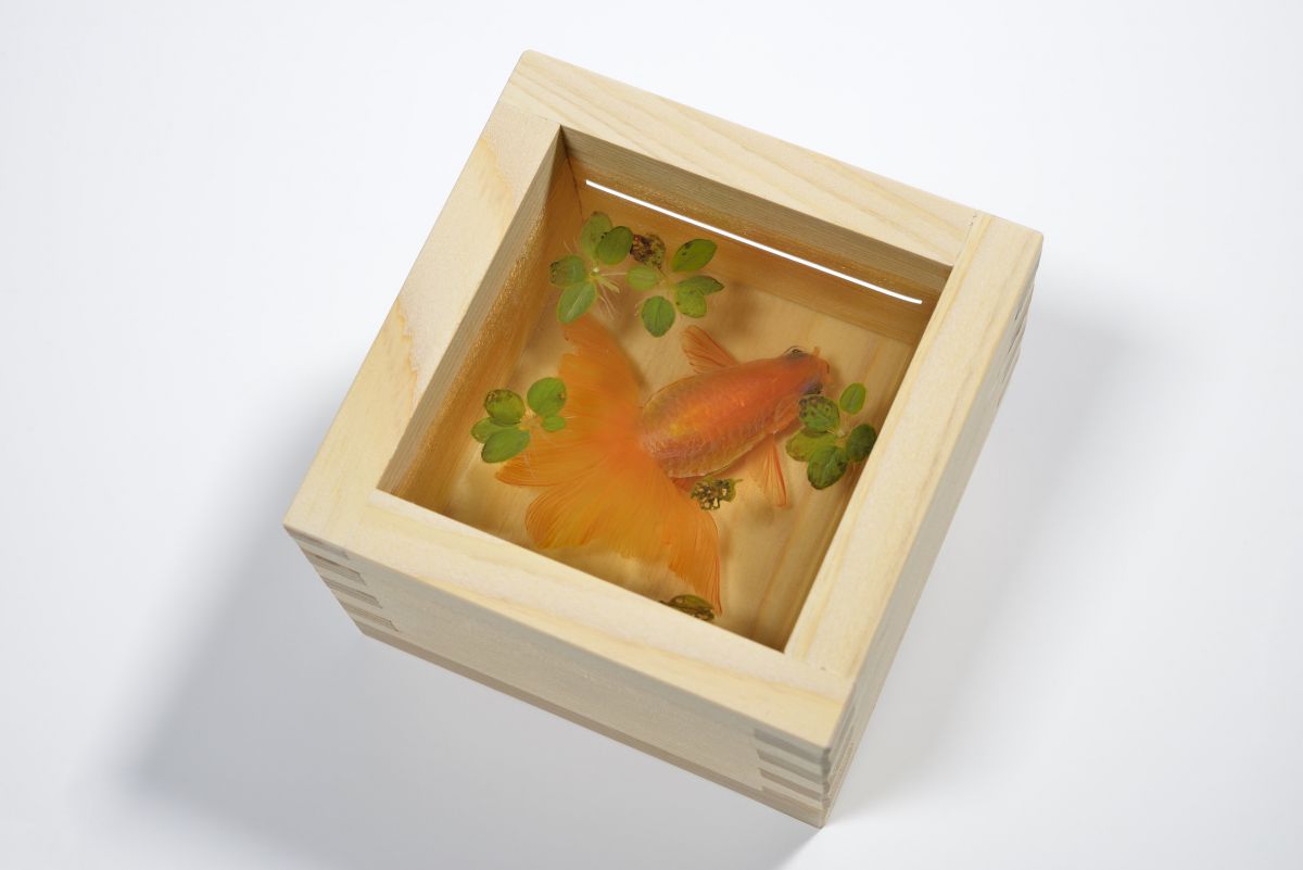 金魚絵師 深堀 隆介氏の新作 金魚酒「夕奈」