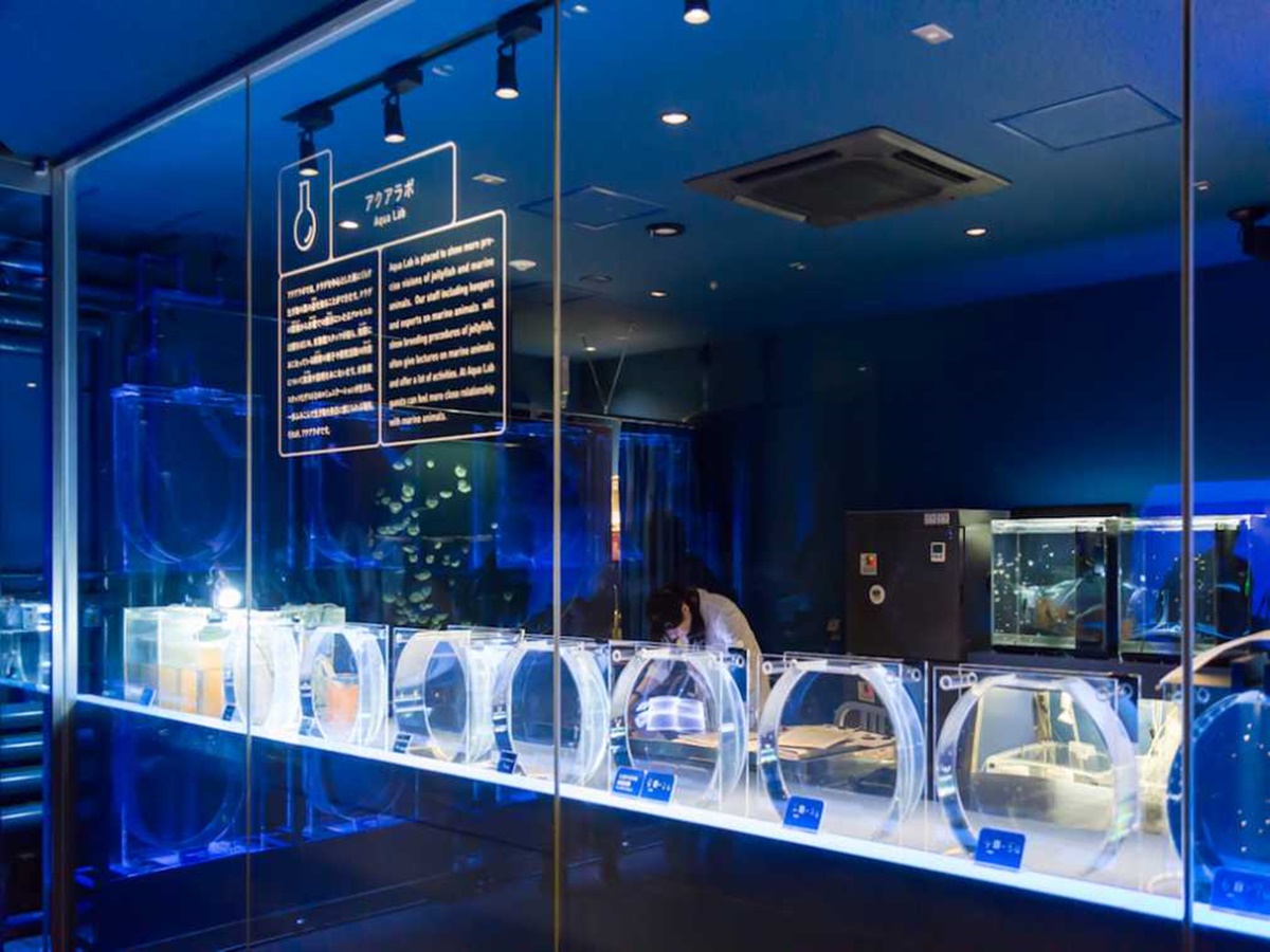 研究室のような造りの「アクアラボ」