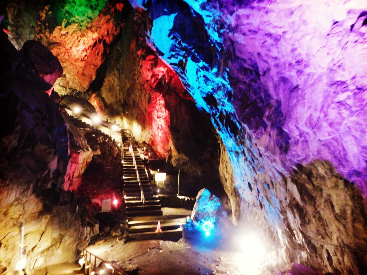 夏なのに涼しい！ 都心からすぐ行ける関東のひんやりスポット11選