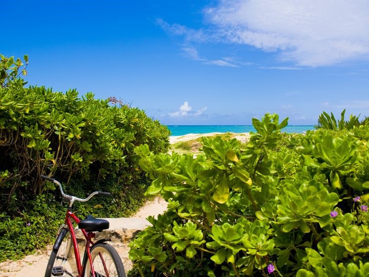 ハワイのカイルアは意外と広い！？レンタサイクルでアクティブ１DAYプラン