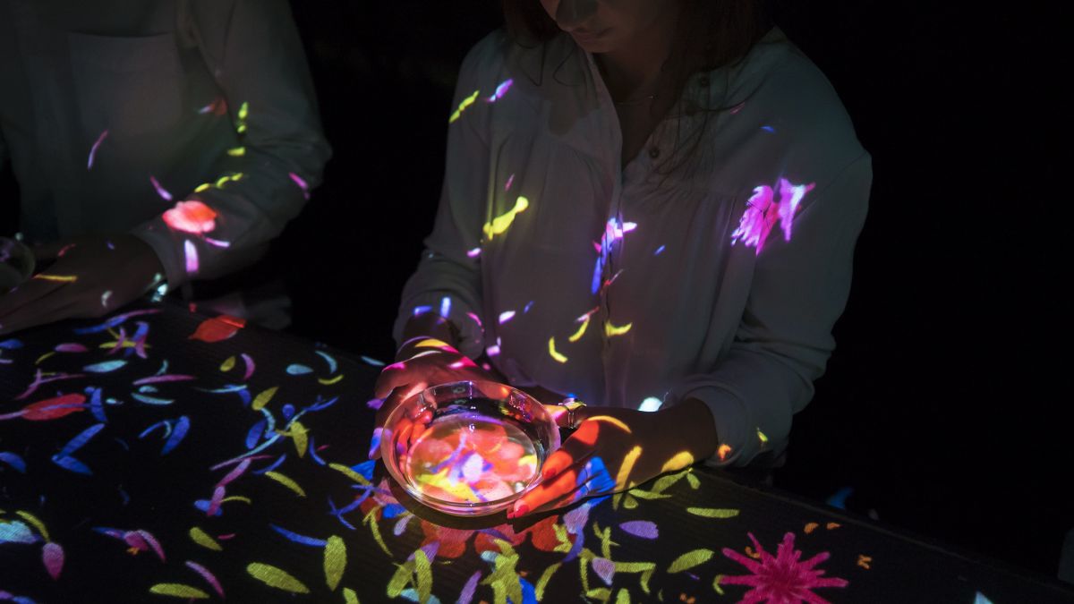 小さきものの中にある無限の宇宙に咲く花々 / Flowers Bloom in an Infinite Universe inside a Teacup    teamLab, 2016, Interactive Digital Installation, Endless, Sound: Hideaki Takahashi 