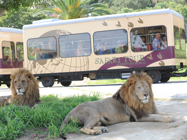 アドベンチャーワールド