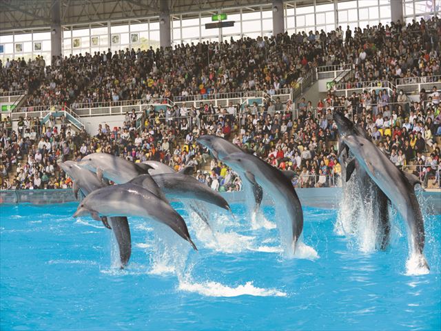 アドベンチャーワールド