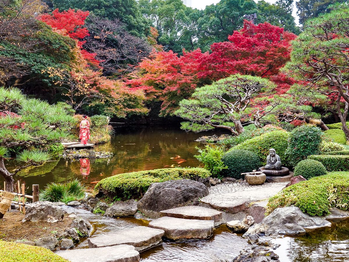 紅葉の季節が美しい約350匹の鯉がいる「清泉池」