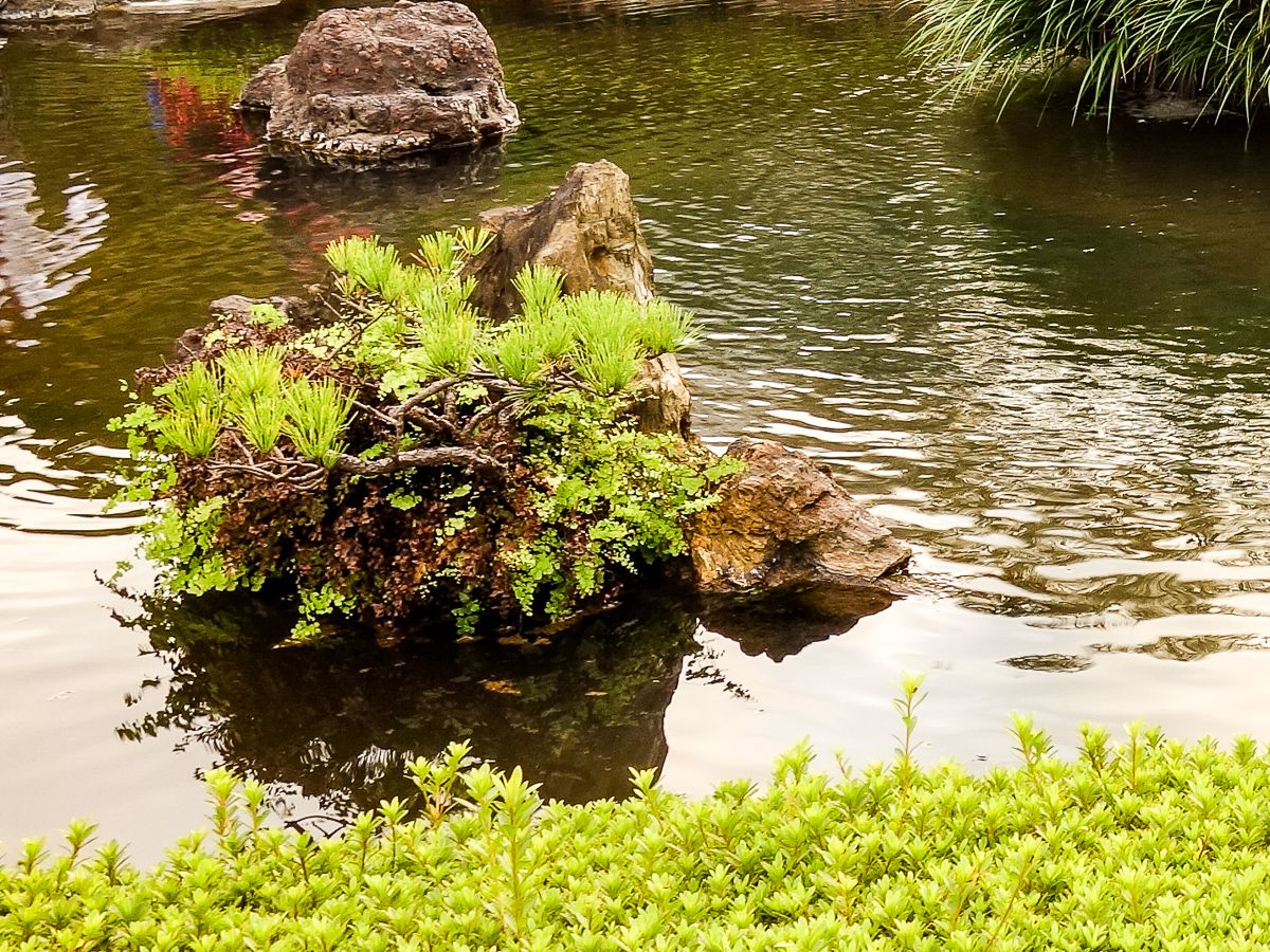 庭園内に4つある「佐渡の化石」